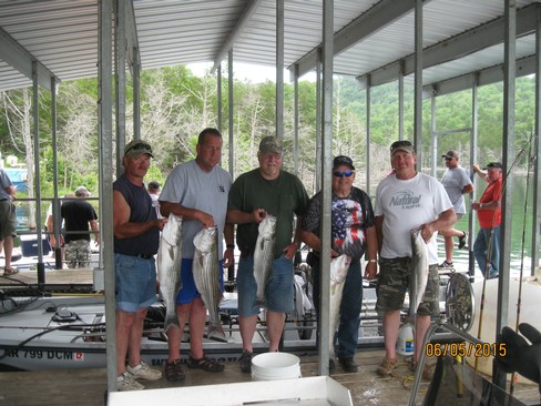Nice Striped Bass